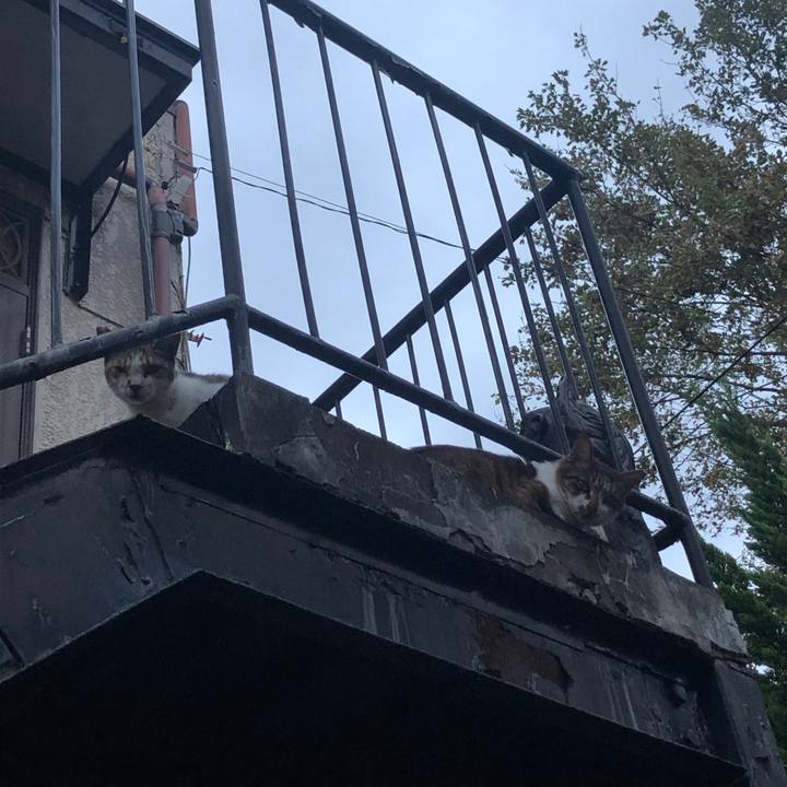 5f09183e d191 432f 8046 6616f677a6d6 1570466042350