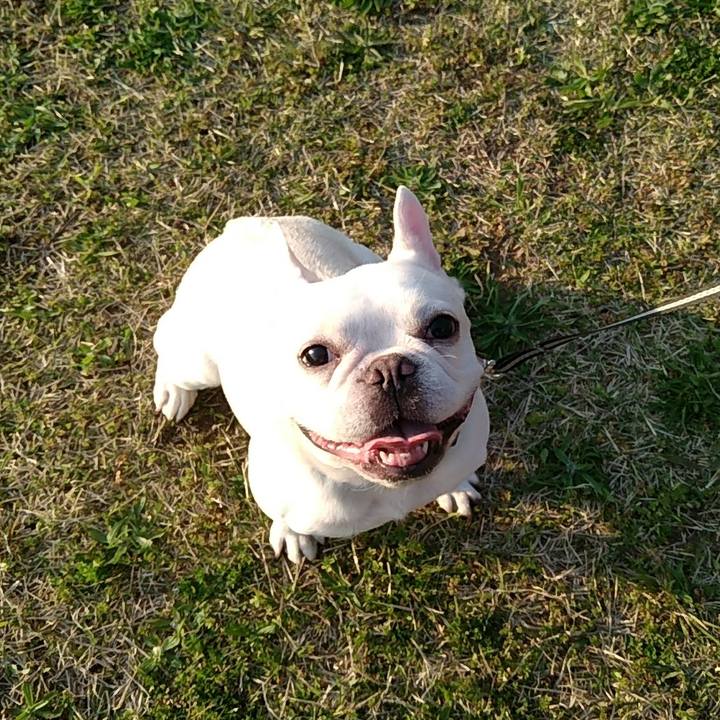 5f092122 8974 4405 b7b0 3dfb206564f3 1585990242917