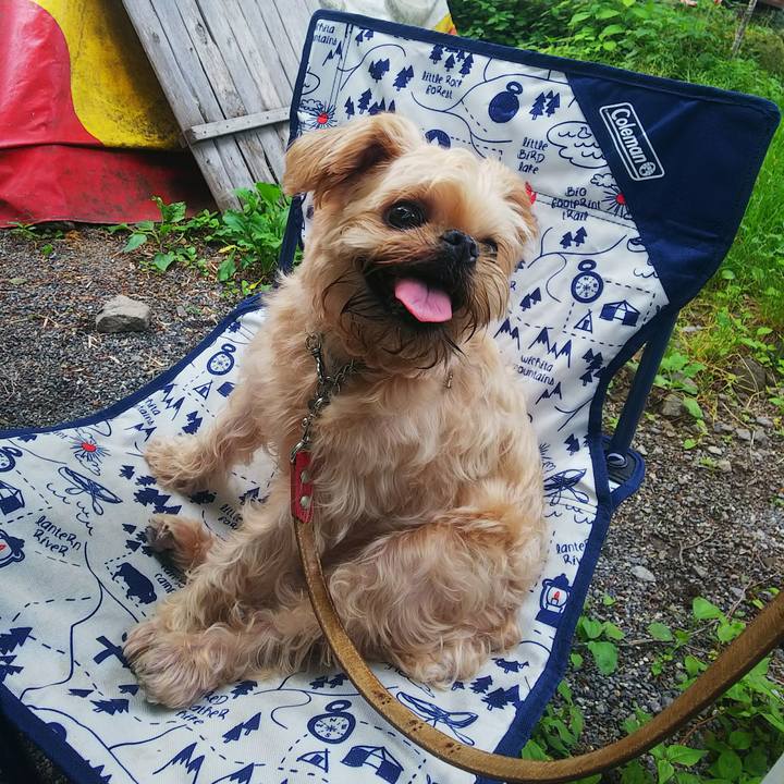 5f093e82 6e0b 4497 83ce 17b0558ec24c 1561864413449