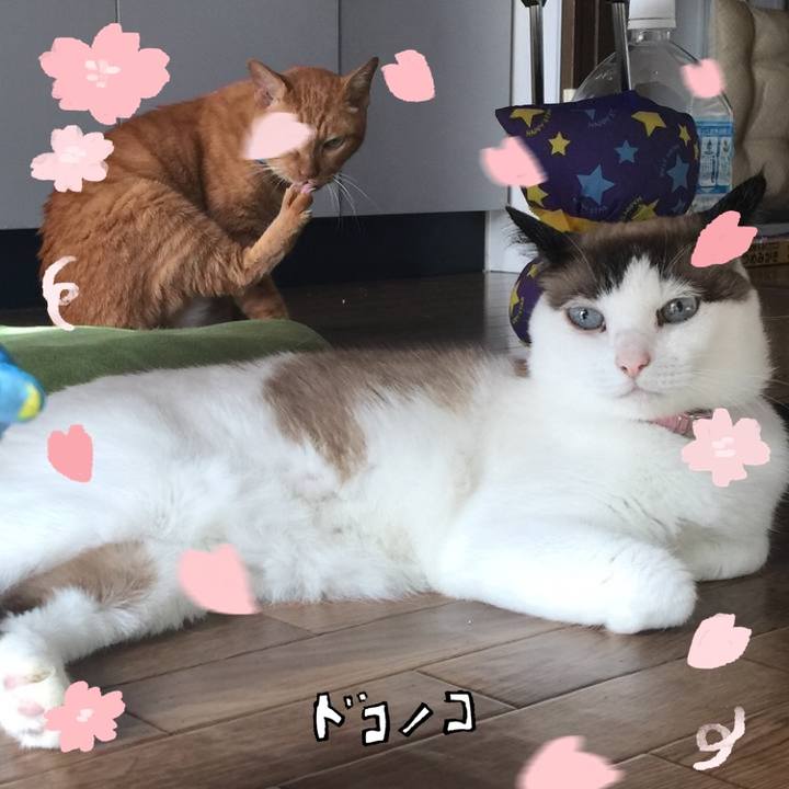 5f094d76 3d93 44ba 8ab5 e4b4c7023cb6 1744370206873