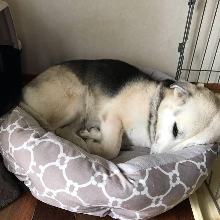 5f097283 3134 48d3 bdd2 f88175e7d1e8 1561273990243