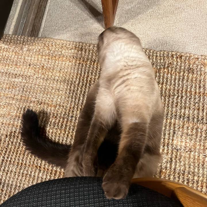 5f097672 26e6 4f1b 9f8c 912c5de9ff66 1667043729924