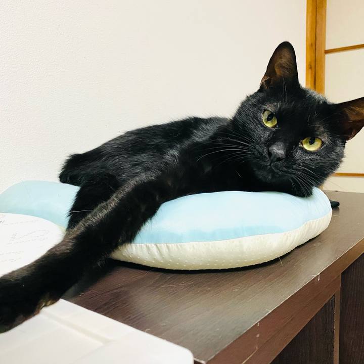 5f099033 a365 4148 a599 146edd547889 1697901378222