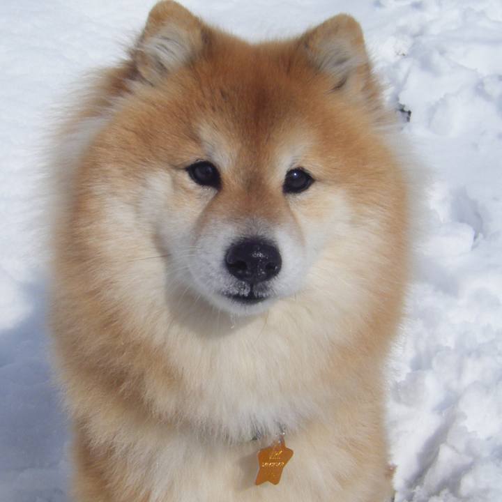 5f0999e8 b8d4 4551 931c 945681b47c1c 1516927152123