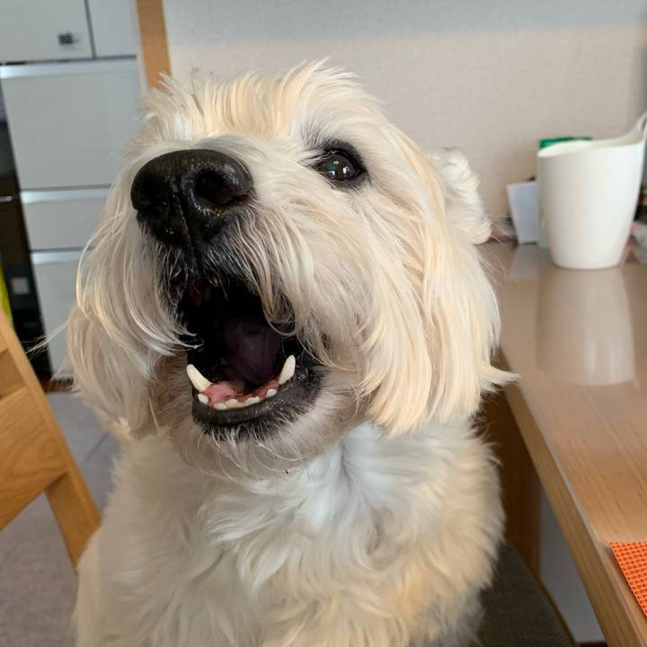 5f0a1156 87b2 4840 82b7 979159c17de1 1581776532797