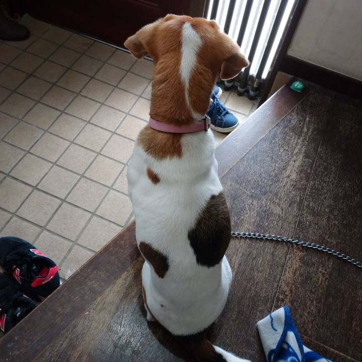 5f0a12f2 659b 40d9 a86d bf6a51f84db7 1586673403326