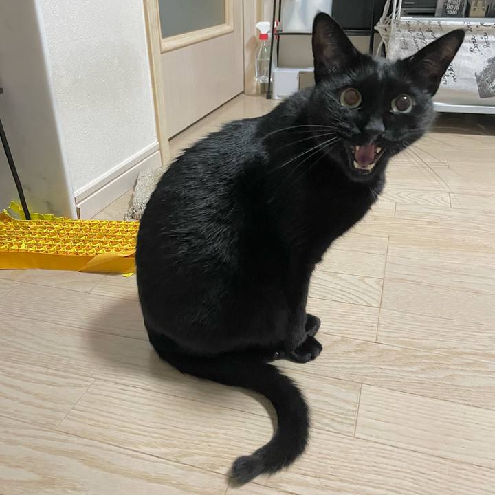 5f0a28cc f11e 41fe 8e6c 93d7f2a31a27 1669903244909