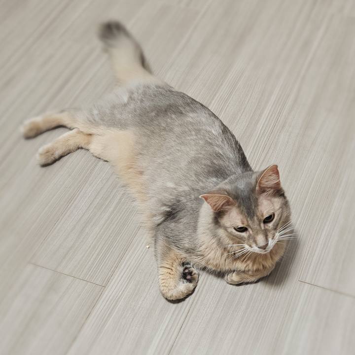 5f0a3a69 0766 4960 a971 08b8bf51600b 1774496297617