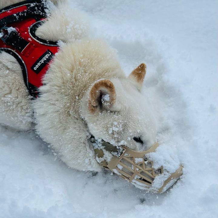 5f0a704a 8356 4c0e 8d54 751cb91cf1e4 1710800824285