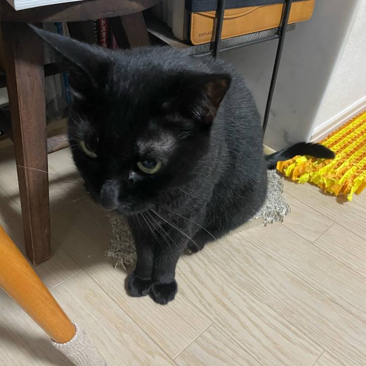 5f0a8428 9a8e 4d85 82da da61131006c8 1746786662034