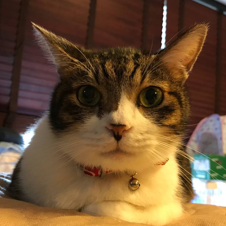 5f0abdd5 cc4a 4a35 9afa 9c63b27a8859 1509256007989