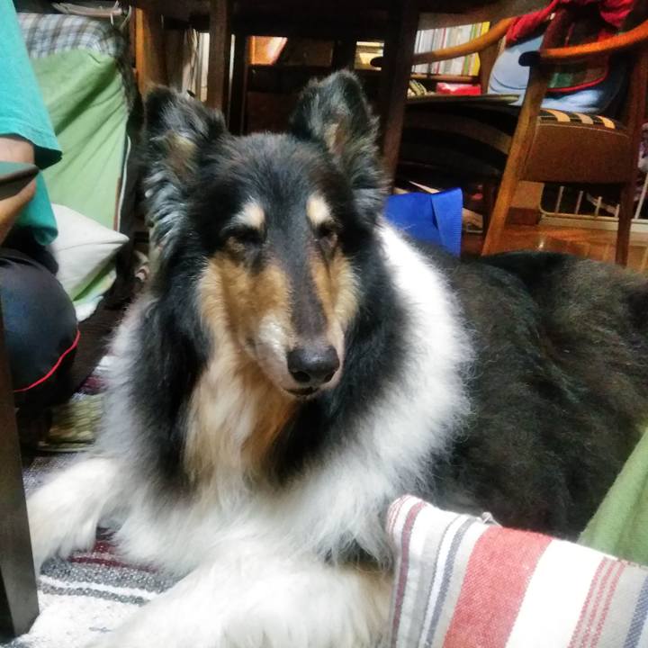 5f0af0bf 0196 4ba5 9771 0d70df204730 1560690788766