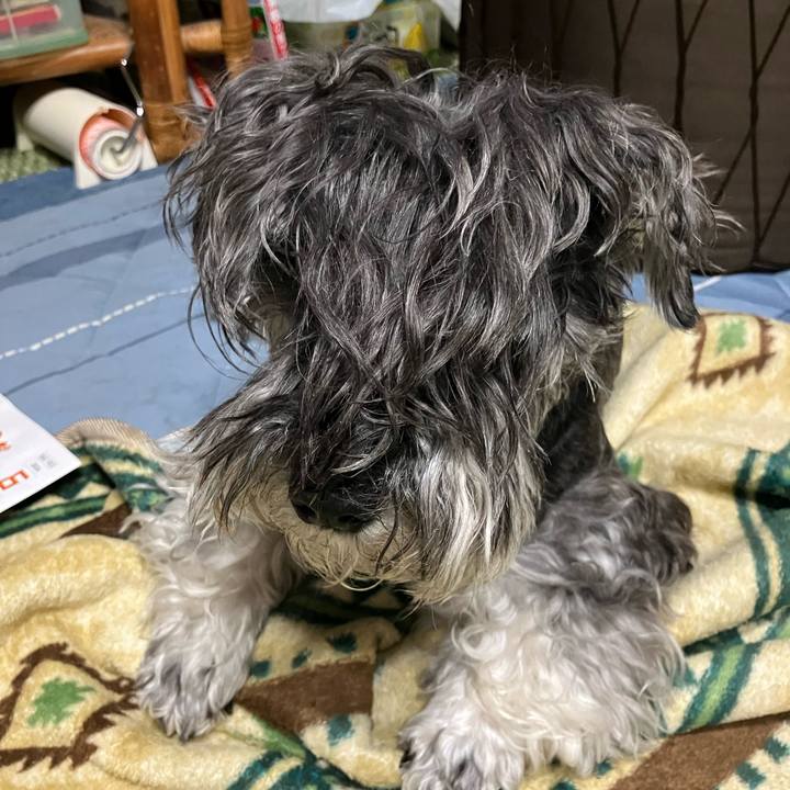 5f0b015a 9f81 4da6 82e8 a80d93c3bfca 1719578761770