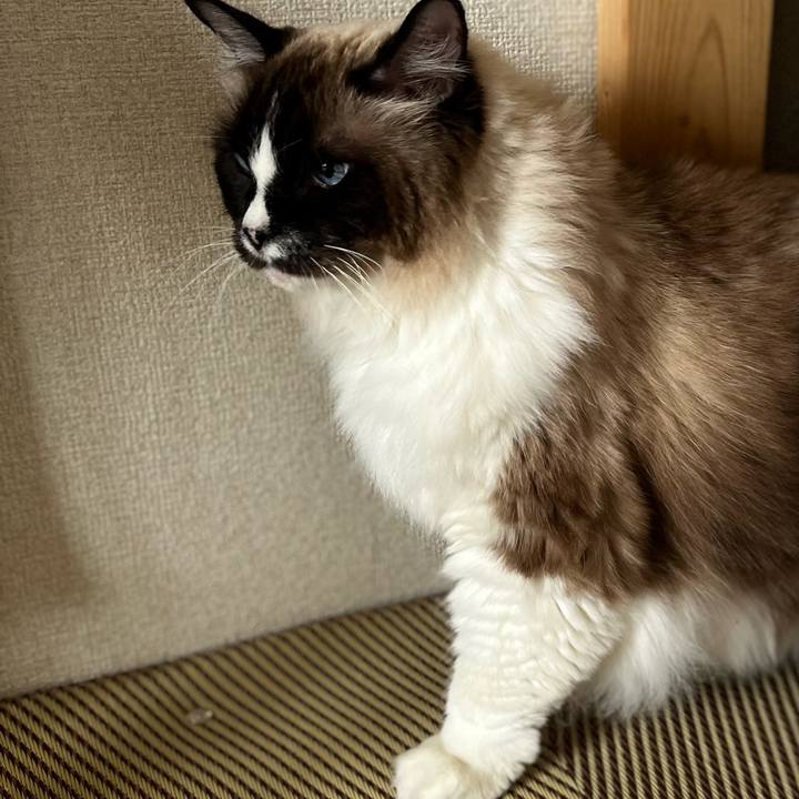 5f0b167f b6a2 426c a128 9b15e3b8266d 1751076060262