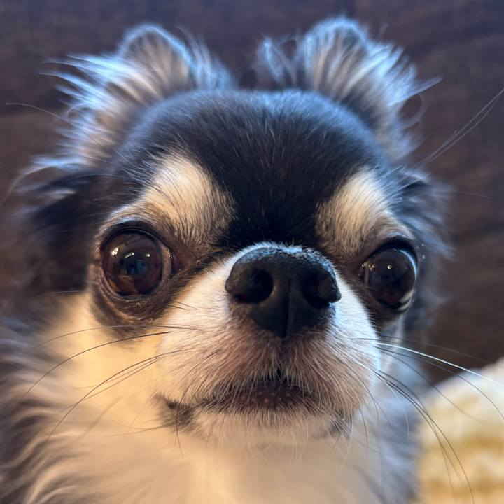 5f0b22c5 d95b 4fb5 9c84 2ef2c25e62b3 1729381614734