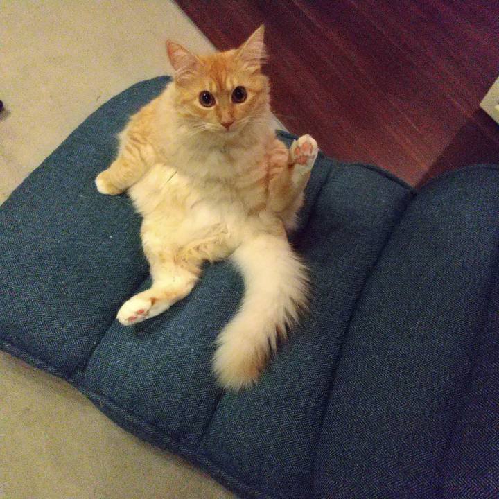 5f0b5d13 fd7f 4596 b695 cf77610fe792 1629291767238