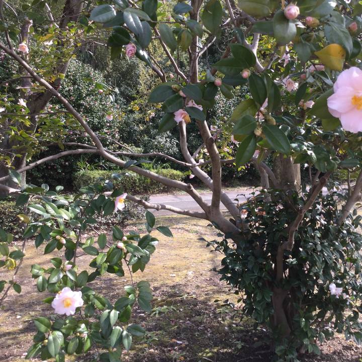 5f0b7908 d763 4c83 b19e df633c42a960 1615263468001