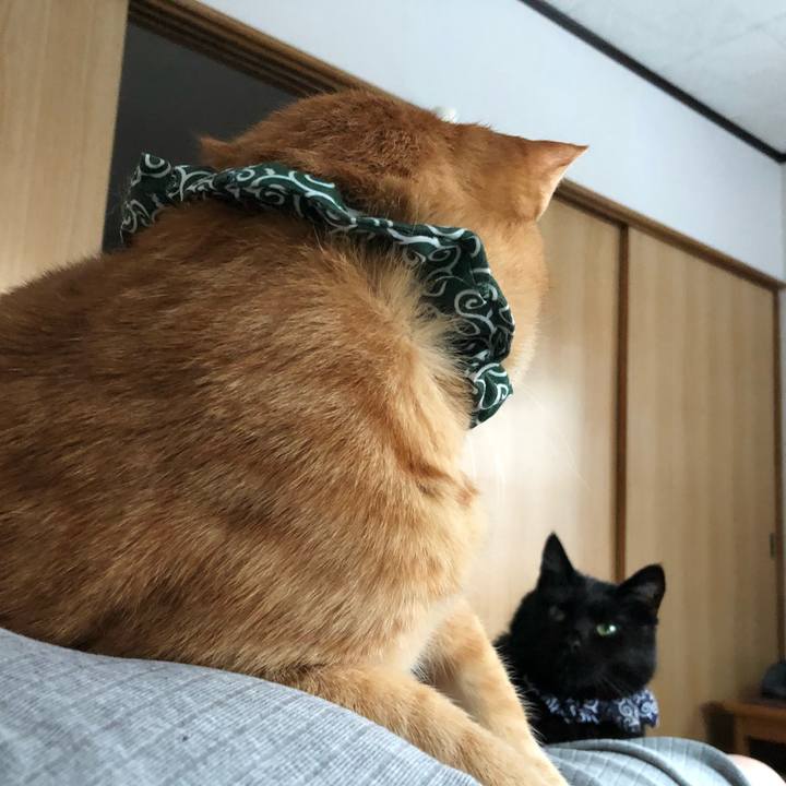 5f0ba330 82f2 4b83 b1c5 8cc1a5511680 1582358203918