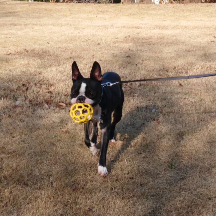 5f0bc2f2 a87a 4c5b badf 5895102f0a7b 1580126726449