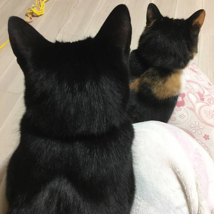 5f0bce6f 5ea7 4b89 88a3 8085172bbdcd 1515245871941