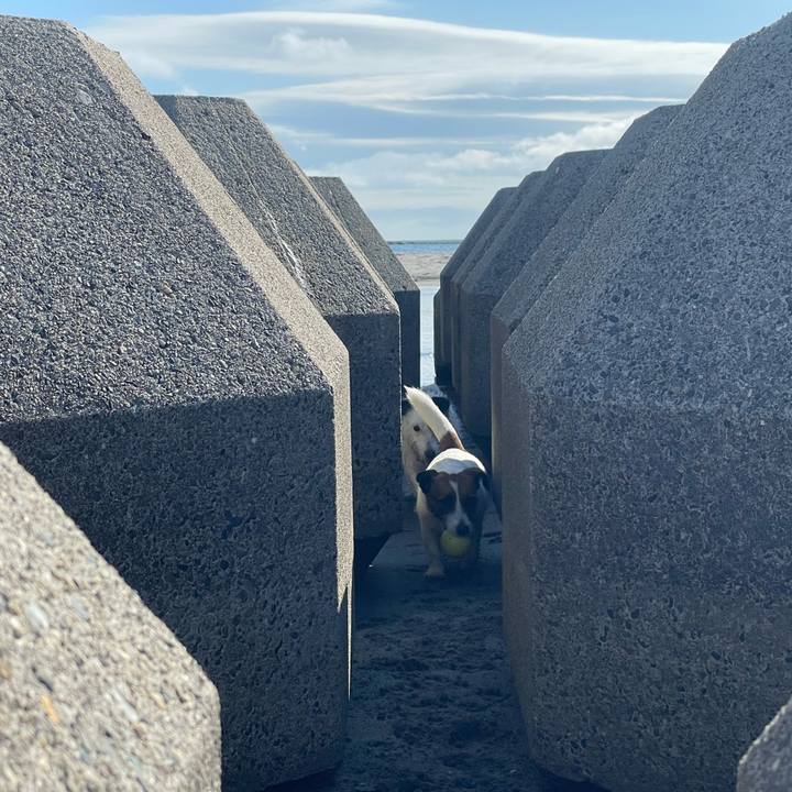 5f0bd7a8 3329 4ae1 b465 efd4ff9bcfce 1750116730276