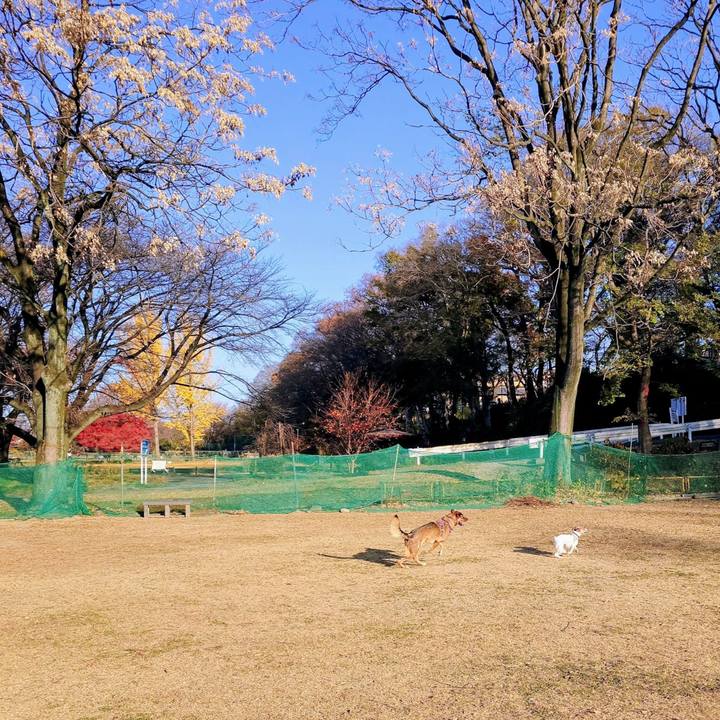 5f0c0f0f 2423 4a78 88af 5c8089f81f84 1764464680739