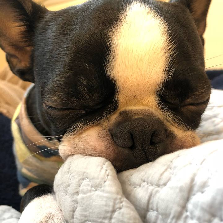 5f0c483e c7d1 4dce 86c4 56ee0b2fb116 1516149751785