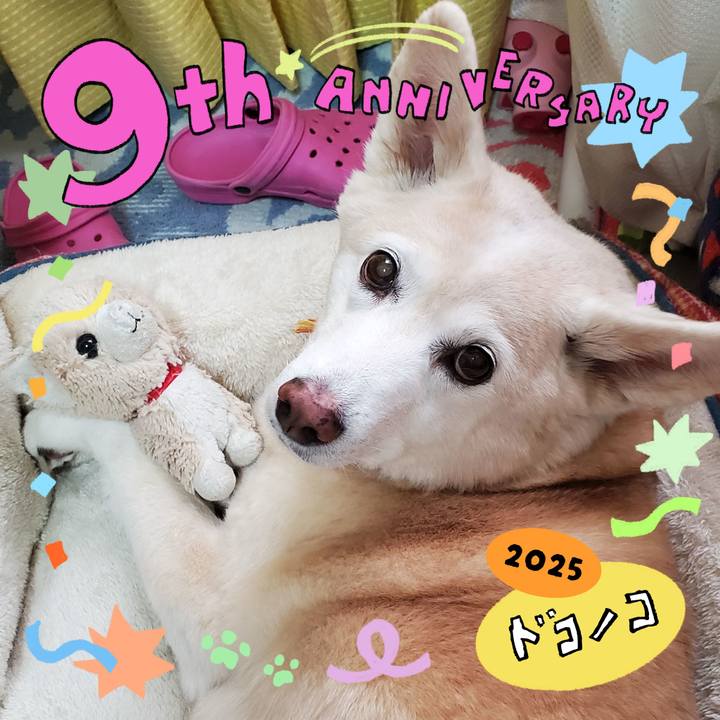 5f0c4afc 165c 426f 9908 4d195c549cb9 1749446993543