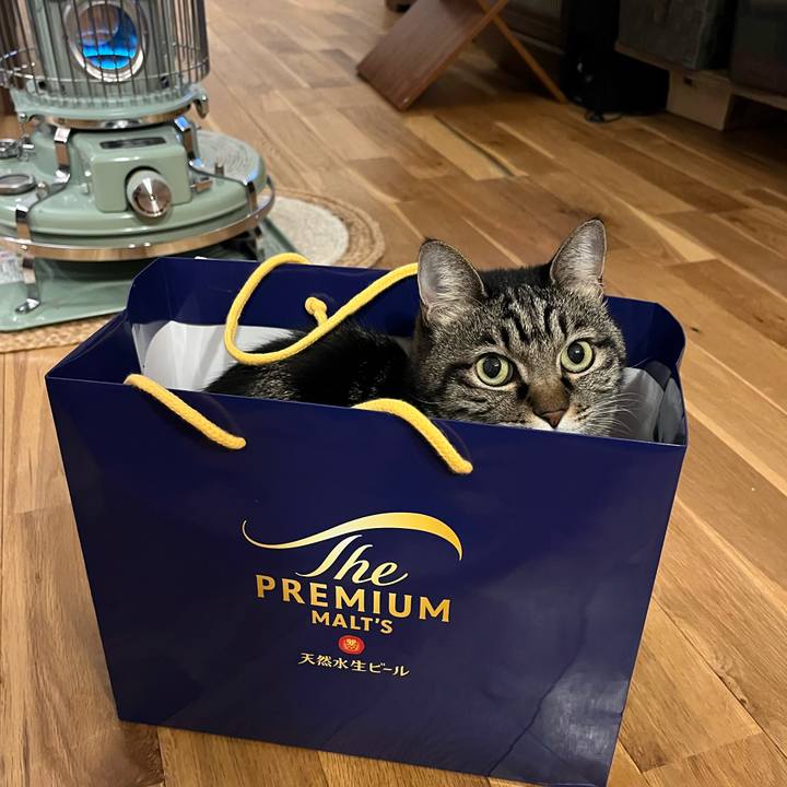 5f0c682c 4bcb 4d52 8268 82b1d6e2c461 1768054238200