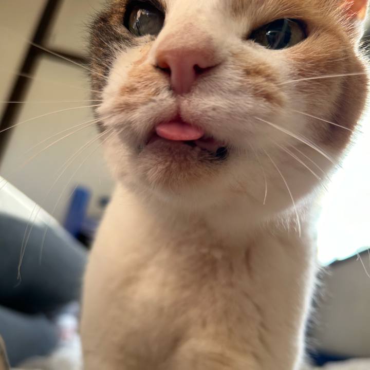 5f0c821a 6780 4372 a5ca 674eafd58802 1715090081013