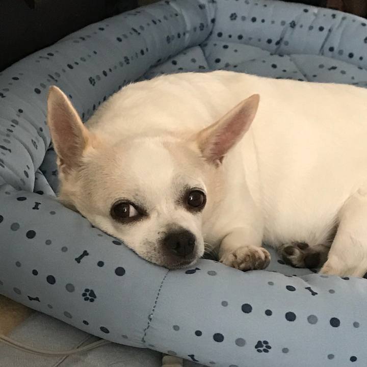 5f0c8d5b 8f95 4488 8c89 accce8e78a87 1535288830572