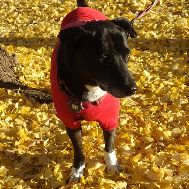 5f0cf7ea d7c4 482a 8860 25f493fa5573 1702436805458