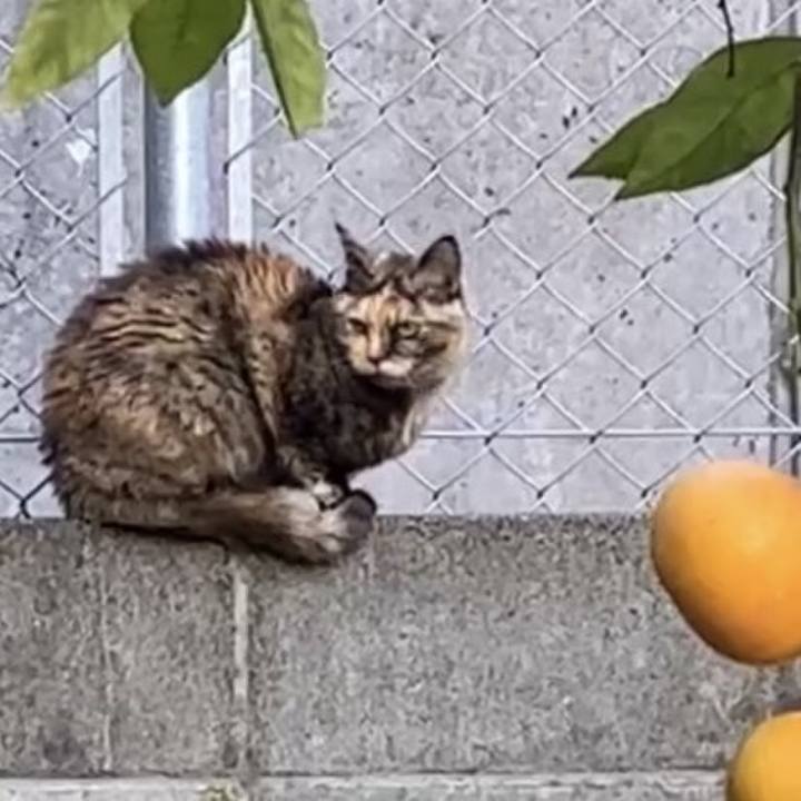 5f0d152c 1d07 40ca 9251 e13114c2782a 1735353376574