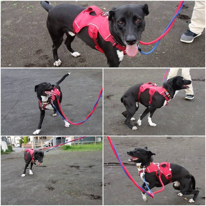 5f0d48ca 6dd2 47ba b141 16d8293c000f 1593860153598