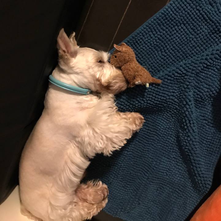 5f0d5bf6 9f3f 4962 9900 2c0a6eac5d85 1536675739383