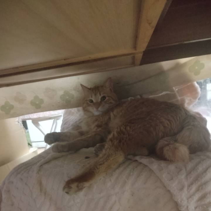 5f0d6a02 e4d6 4cb0 818e bec021b9dfc7 1678691547654