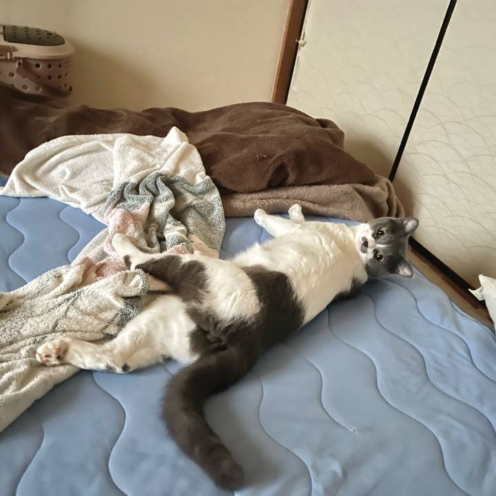 5f0dcb85 cb43 43e1 823e 63447aa07c81 1661204150738