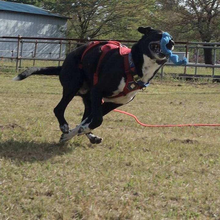 5f0dd485 eef8 4070 8be6 8f78a8a2ece3 1681175910504