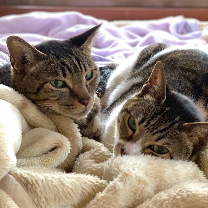 5f0ddb6e 772c 41e9 ae3a 7a02e54fd983 1552006787339