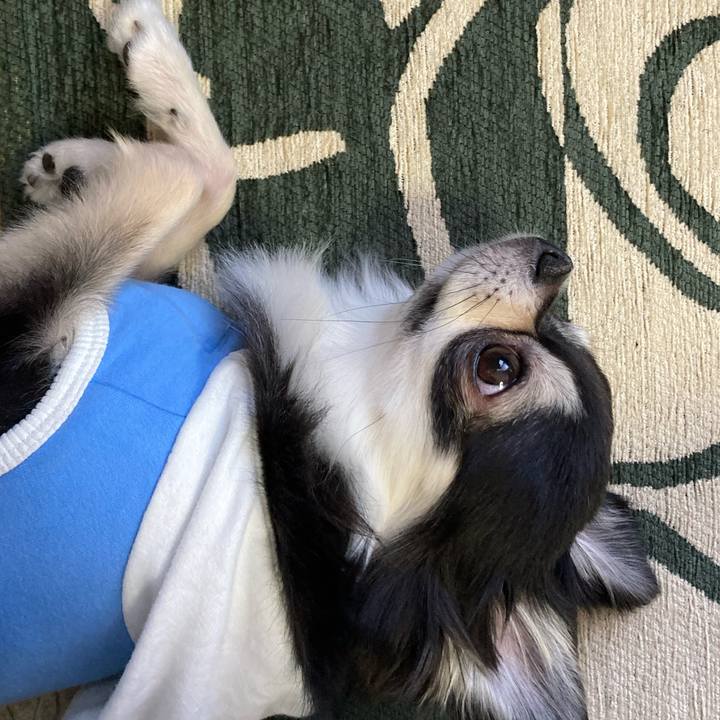 5f0e08d5 a746 4077 8640 f34740128687 1647059100461