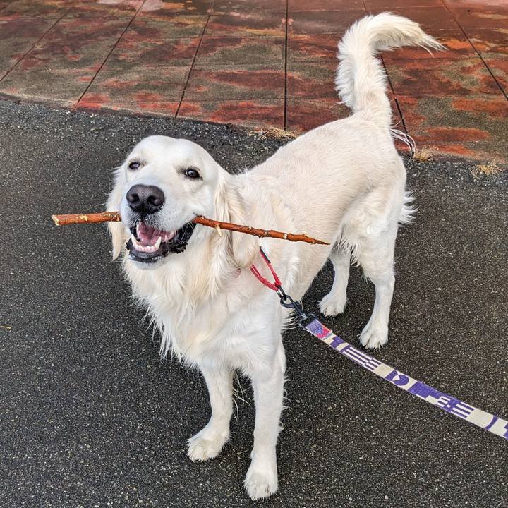 5f0e1f50 b892 4239 ad60 6111880618cd 1765676288228