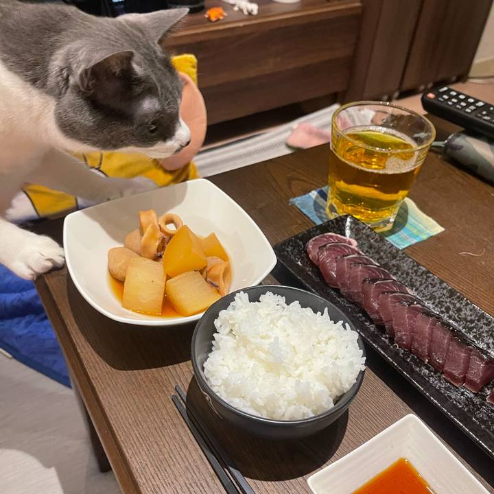 5f0e3d56 6fc2 4652 9f61 4830731398eb 1751885921268