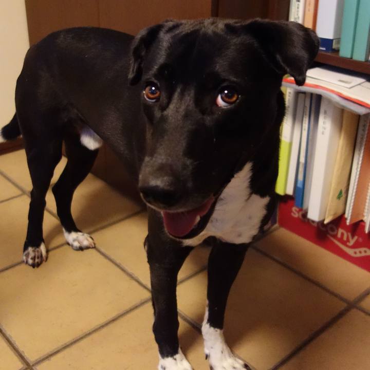 5f0e56f2 e024 4df8 b79f 201ed66115d5 1599263295807