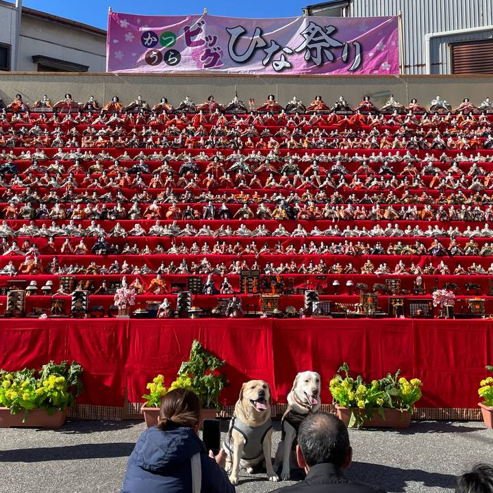 5f0e9bbd 95b6 41f1 96cd d980daef3249 1740578314214