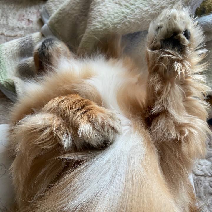 5f0e9cc4 a216 4ce6 bc03 1d4e16a64032 1651787121325