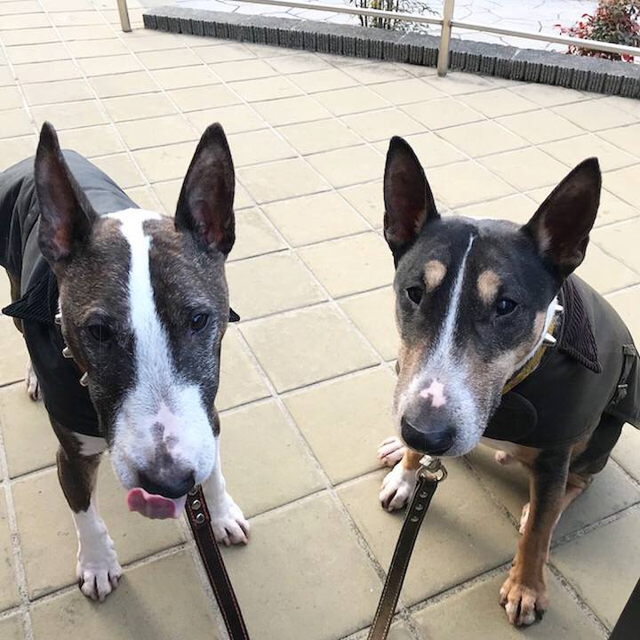 5f0ecdbd 8785 4a7a 9504 1093b708f401 1517738881424