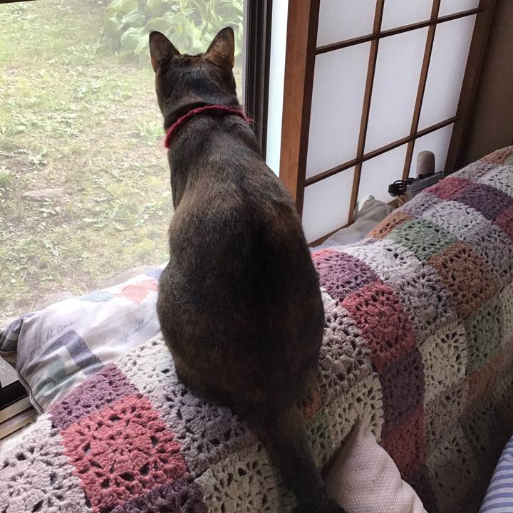 5f0f176a 5cc6 44ed b56b a3d2c52ab8ff 1604047140684