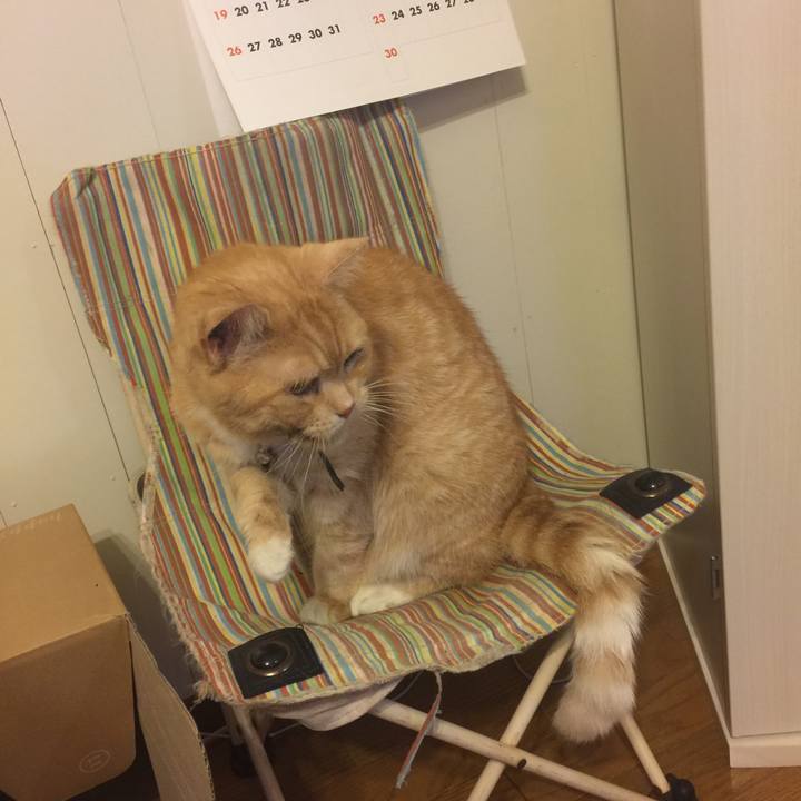 5f0f2fcb 769c 4f88 8081 f55672977f39 1561803663482