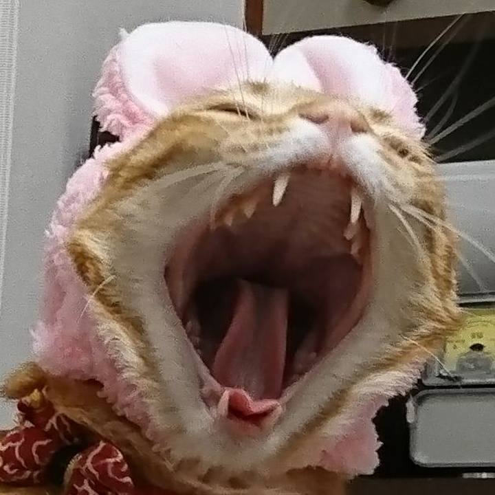 5f0f4045 b7bd 4e35 b53f 81b58c5dc86e 1523053537794