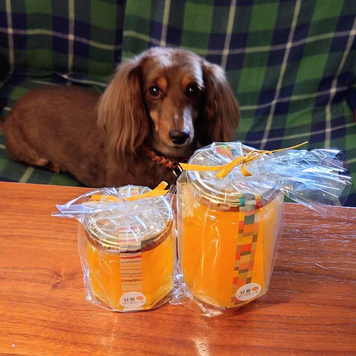 5f0f5457 dac9 404f 8d19 3e3997195a42 1686117414402